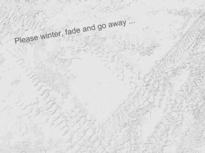 winterfade1.jpg