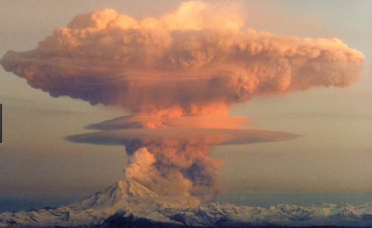 Screen Shot 2017-08-06 at 9.59.46 AM