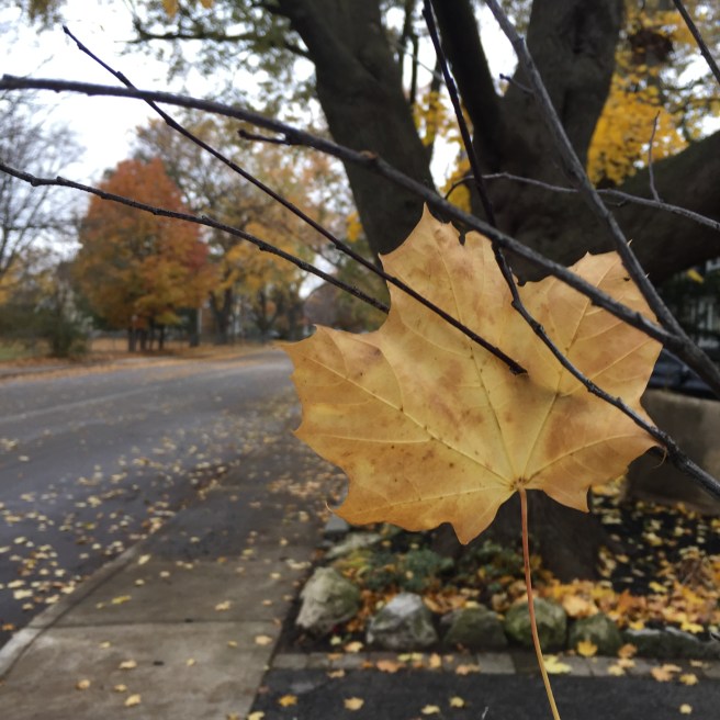 DA0DF03E-3AA4-42B6-8107-78CC6A7E4BC1