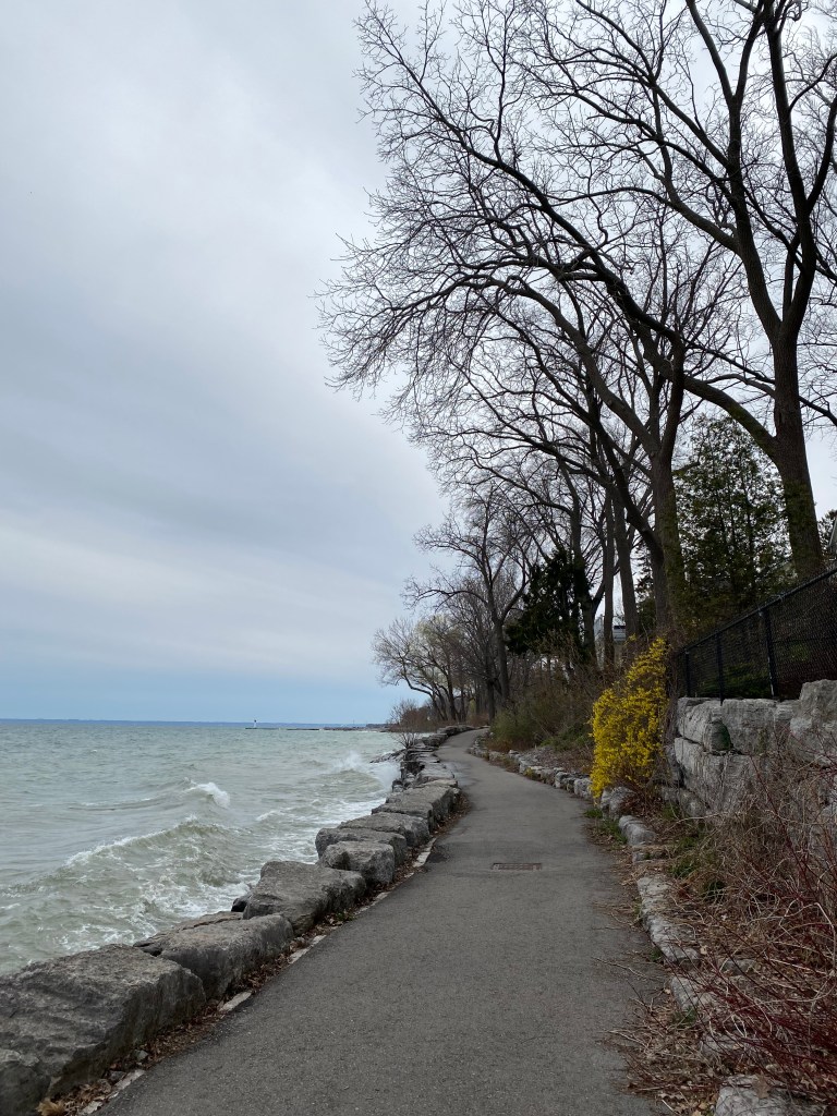 twisting path beside a lake & trees