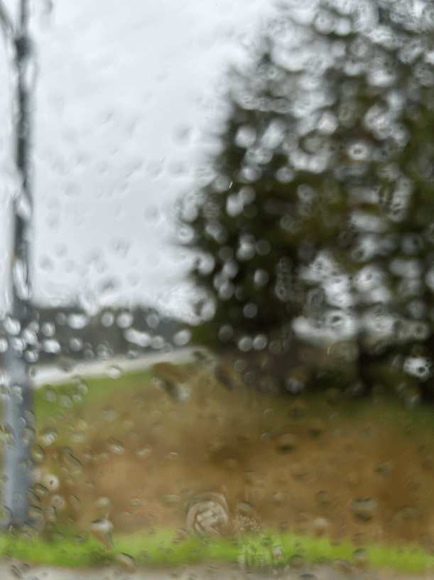 Looking out a car window during rain.