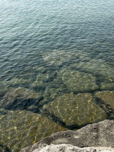 Sun-revealed rocks at the lake's shore