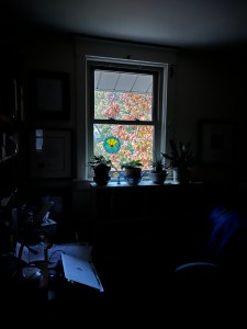 A darkish study, with plants in front of the window