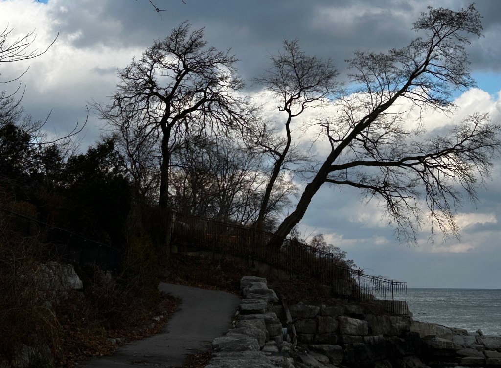 Bare-branched winter trees, sky & lake
