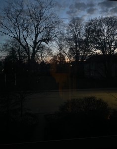 Sunset behind spring's still bare branches