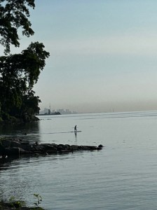 Lake, Toronto skyline,paddleboarder