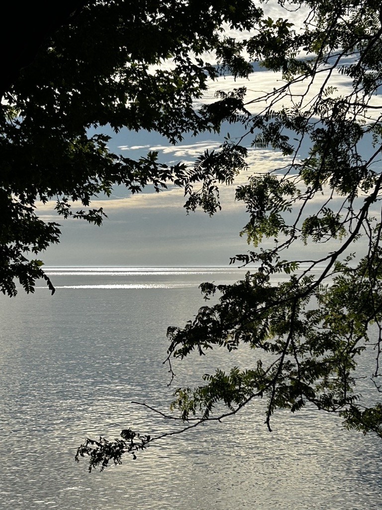 The morning lake, clouds, and branches.