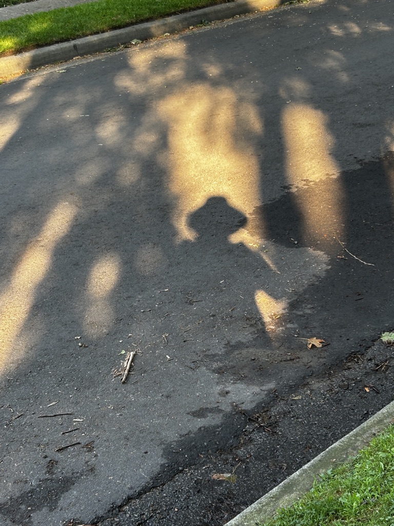 Person with hat's shadow on the road